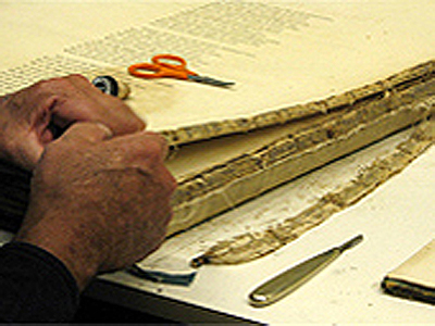 2 No. Image Caption
